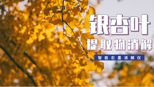 銀杏葉提取物消解最簡單方法！一眼就會